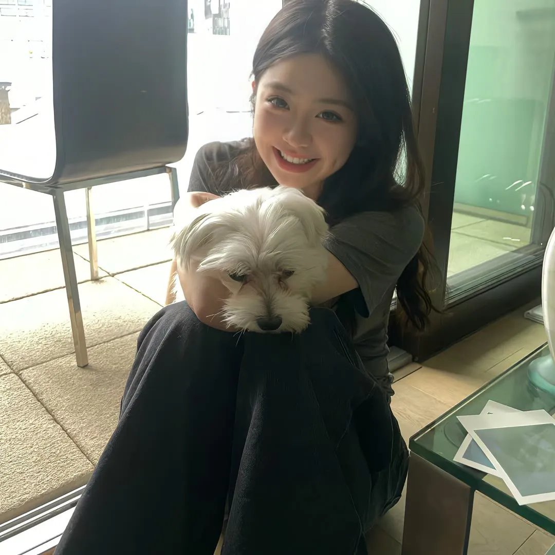 代号猎鹰